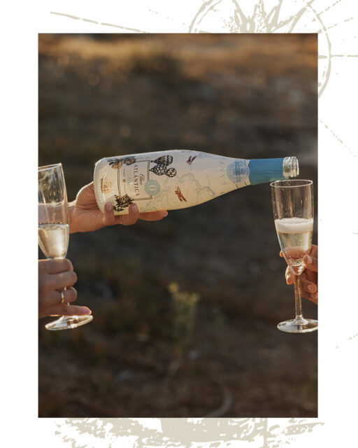 Estas navidades que la graduación no te frene de brindar, reir, compartir… disfruta de cada celebración con Alma Atlántica Sin. 🥂

#NuncaSinAlma