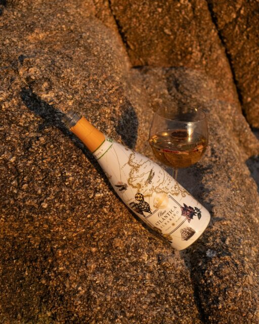 No hace falta una fecha marcada en el calendario.
A veces basta con coincidir, abrir una botella y dejar que el momento haga el resto.
#NuncaSinAlma 🥂