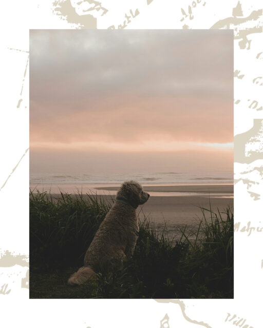 Tardes que huelen a sal, a brisa suave y a días que poquito a poco se van alargando… 🌊🩷