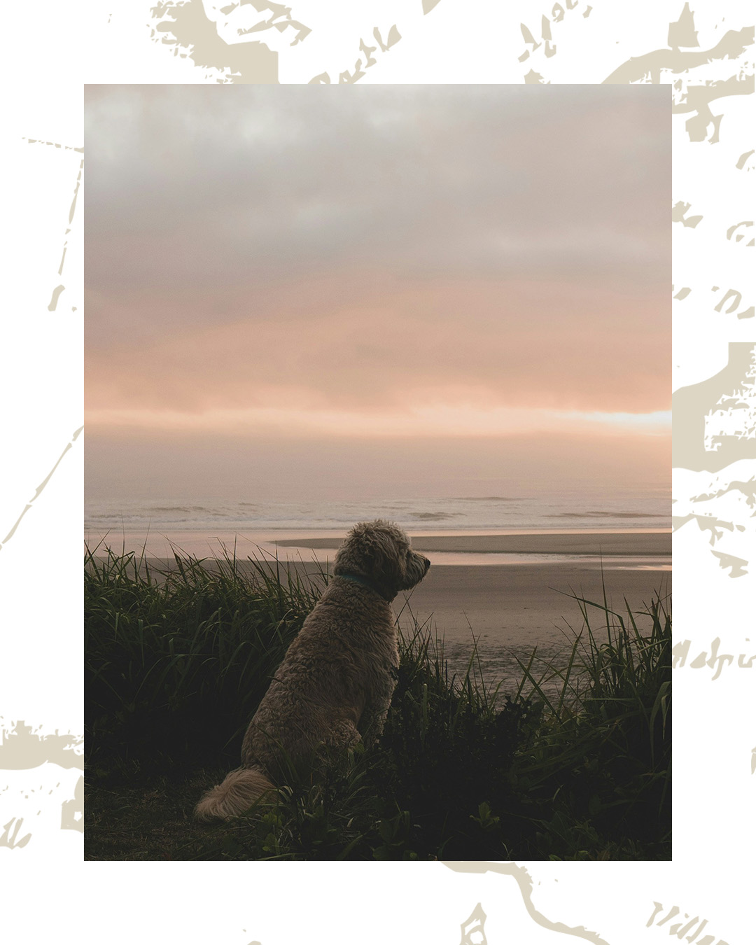 Tardes que huelen a sal, a brisa suave y a días que poquito a poco se van alargando… 🌊🩷