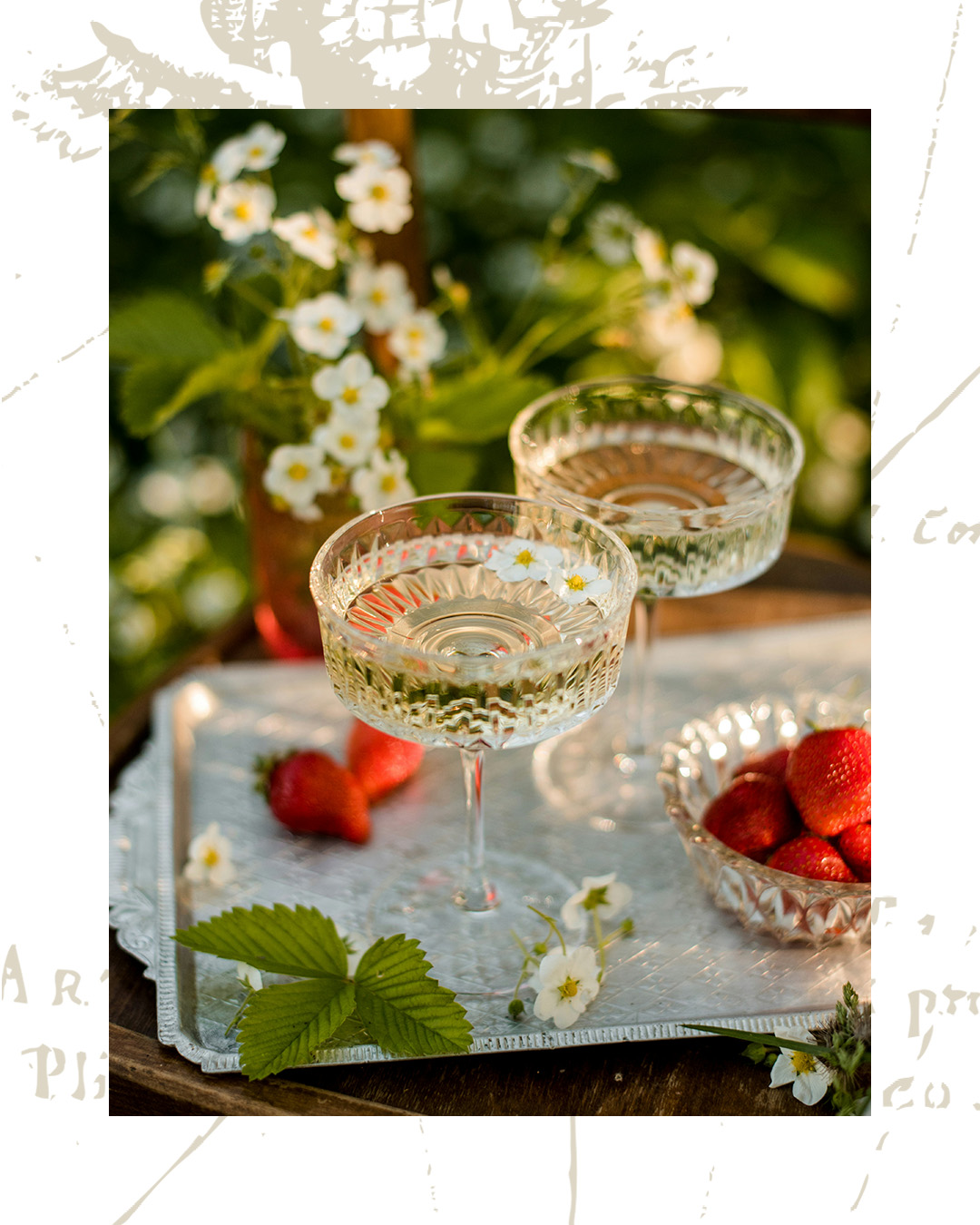 Tardes que saben así… 🍓

No hace falta más para que el plan sea perfecto 🥂