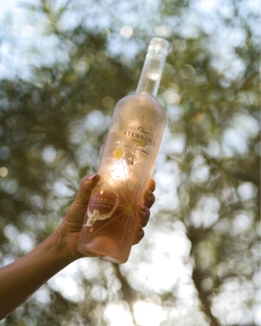 Tu aliado perfecto esta primavera es nuestro vino rosé, fresco y afrutado, perfecto para tomar al sol 🌷🥂